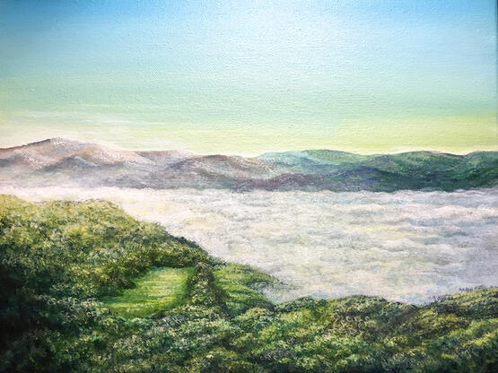 a green valley with trees surrounding all but one area. light is creating yellow patches on the grass. fog surrounds the valley.